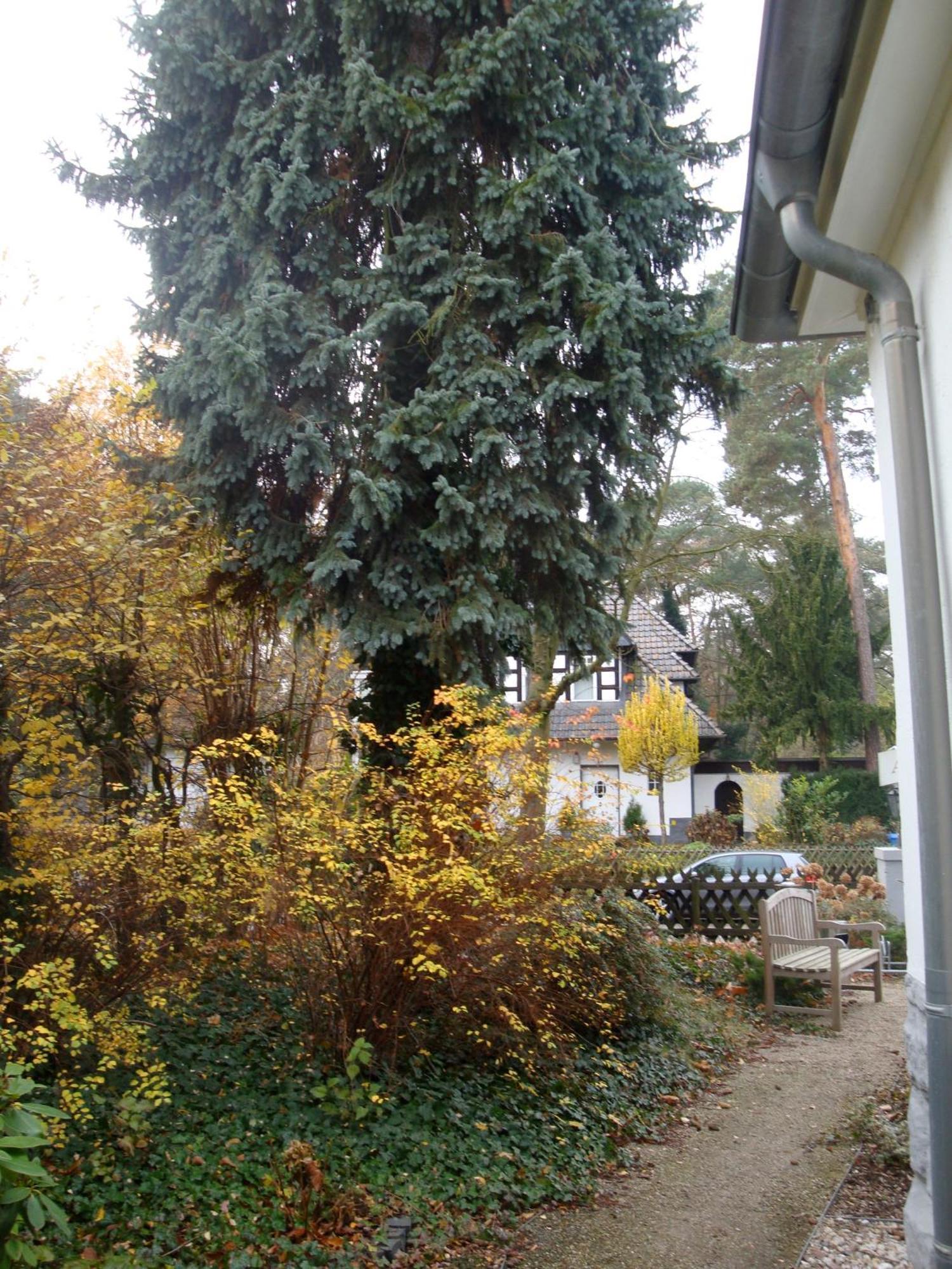 Hotel Landhaus Schlachtensee Берлин Екстериор снимка